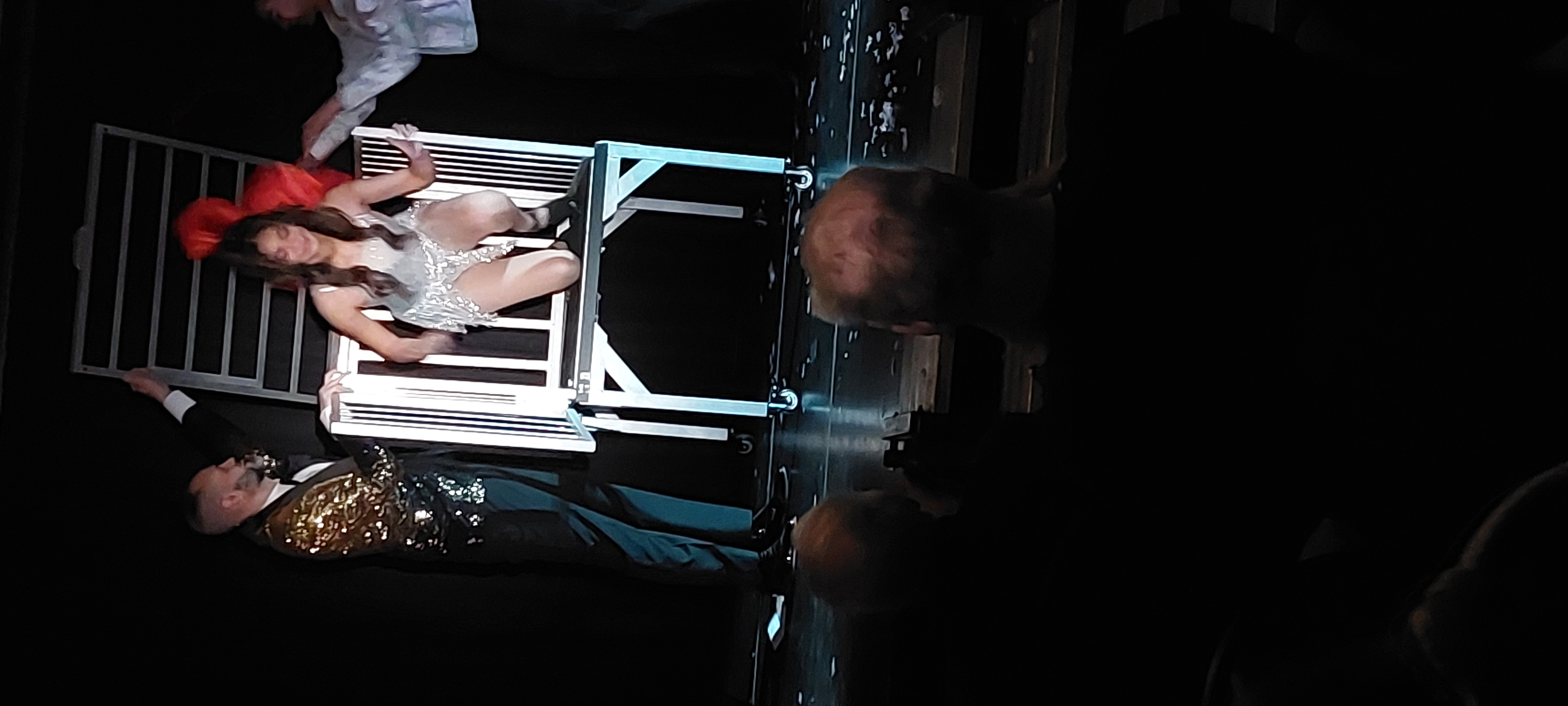 20250404_201301.jpg